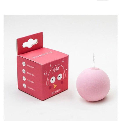 Bola Interativa para Gatos - CatBall Bola Interativa para Gatos - Pets 001 Falco Rosa 