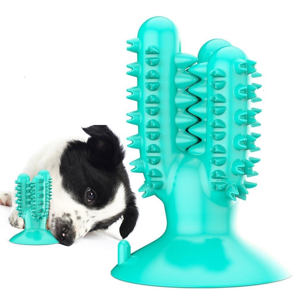 Brinquedo Mordedor Escova de Dentes para Cachorro